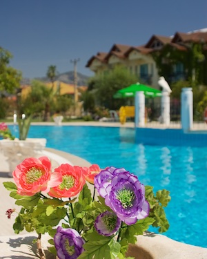 Flowers Pool Sunshine